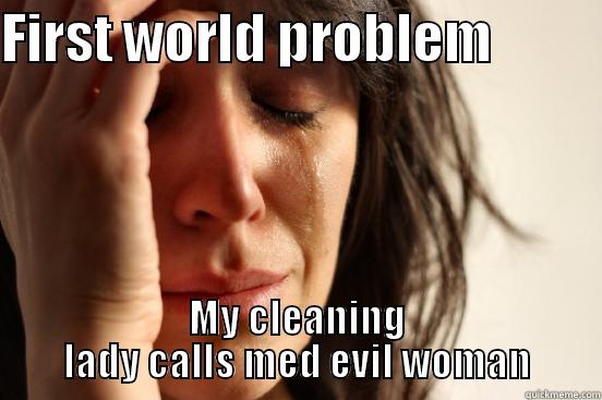 FIRST WORLD PROBLEM           MY CLEANING LADY CALLS MED EVIL WOMAN First World Problems