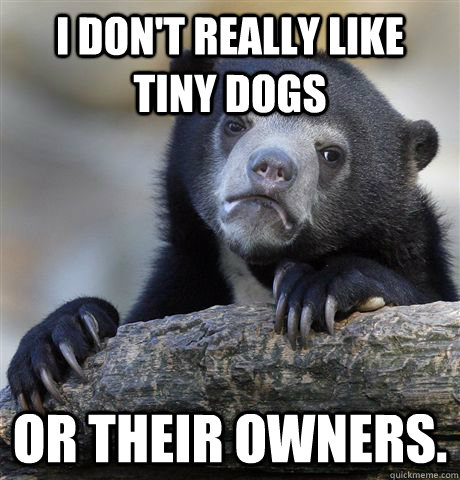 I don't really like tiny dogs or their owners.  Confession Bear