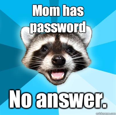 Mom has password No answer.  Lame Pun Coon