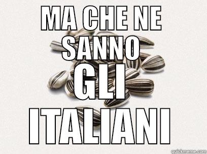 MA CHE NE SANNO GLI ITALIANI Misc