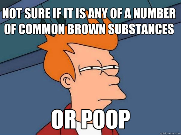 Not sure if it is any of a number of common brown substances or poop - Not sure if it is any of a number of common brown substances or poop  Futurama Fry