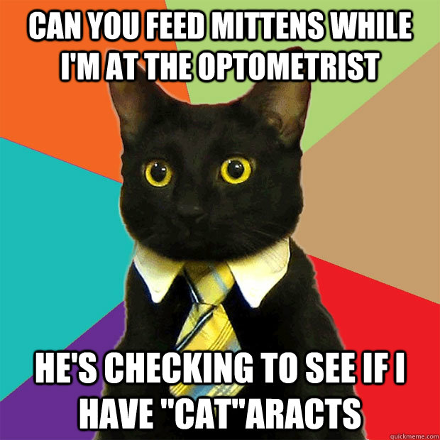 can you feed mittens while i'm at the optometrist he's checking to see if i have 