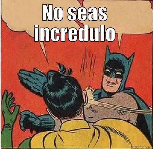 NO SEAS INCREDULO  Batman Slapping Robin