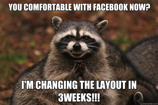 you comfortable with facebook now? i'm changing the layout in 3weeks!!! - you comfortable with facebook now? i'm changing the layout in 3weeks!!!  Evil Plotting Raccoon