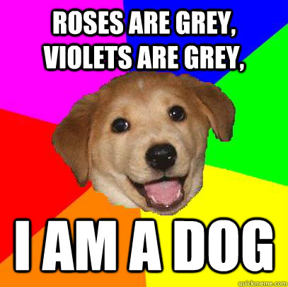 Roses are grey, violets are grey, I am a dog  Advice Dog