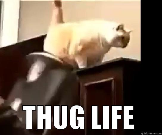  THUG LIFE Misc