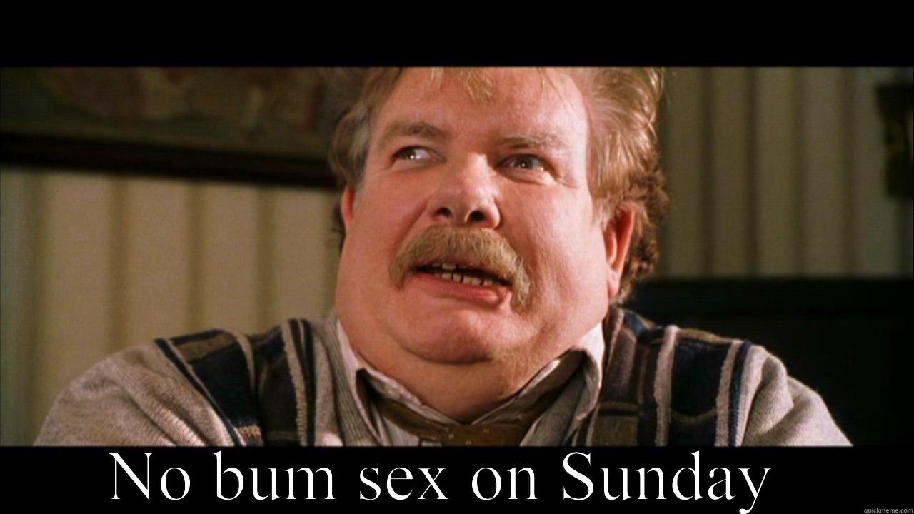  NO BUM SEX ON SUNDAY  Horny Harry