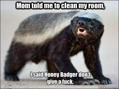 Mom told me to clean my room, I said Honey Badger don't 
give a fuck.  