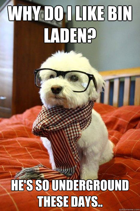 Why do I like Bin Laden? He's so underground these days..  Hipster Dog