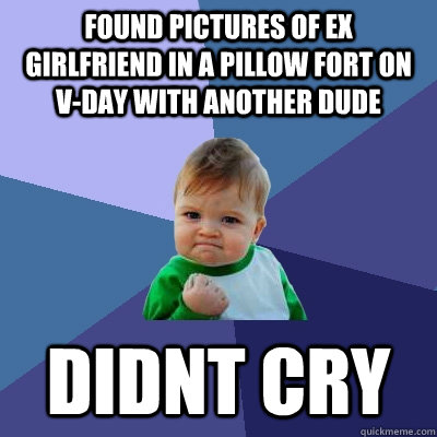 Found pictures of ex girlfriend in a pillow fort on V-Day with another dude Didnt cry  Success Kid