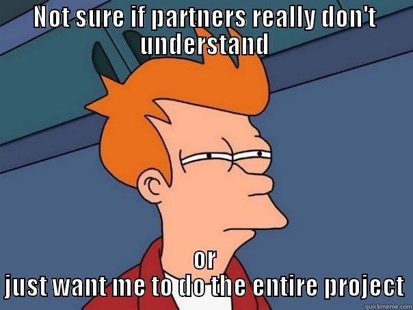 NOT SURE IF PARTNERS REALLY DON'T UNDERSTAND OR JUST WANT ME TO DO THE ENTIRE PROJECT Futurama Fry