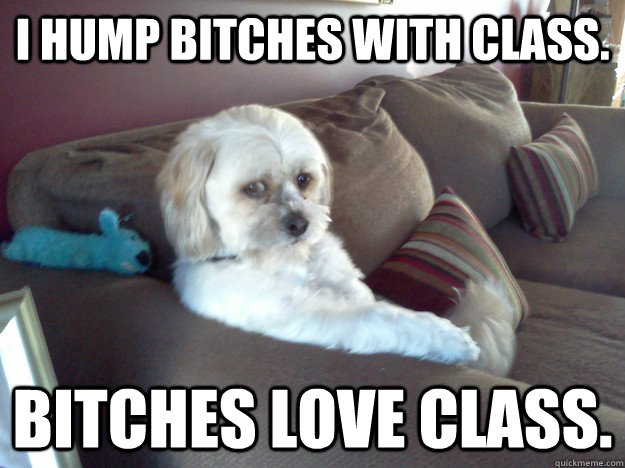 I hump bitches with class. Bitches love class.  awesome dog