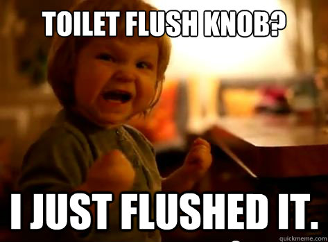 Toilet flush knob? i just flushed it.  Evil Toddler