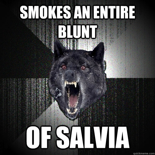 smokes an entire blunt of salvia  Insanity Wolf