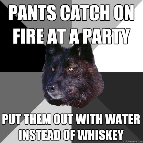 pants catch on fire at a party put them out with water instead of whiskey  Sanity Wolf