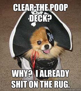 Clear the poop deck? Why?  I already shit on the rug.  