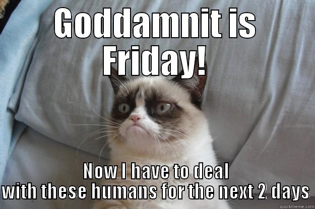 goddamnit is friday - GODDAMNIT IS FRIDAY! NOW I HAVE TO DEAL WITH THESE HUMANS FOR THE NEXT 2 DAYS Grumpy Cat