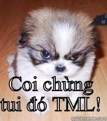  COI CHỪNG TUI ĐÓ TML! Misc