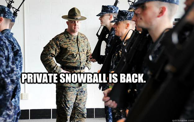 Private Snowball is back. - Private Snowball is back.  Navy Drill Instructor