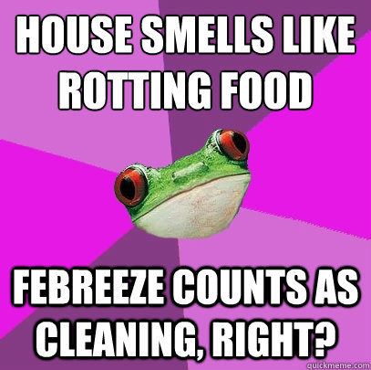 house smells like rotting food febreeze counts as cleaning, right?  Foul Bachelorette Frog