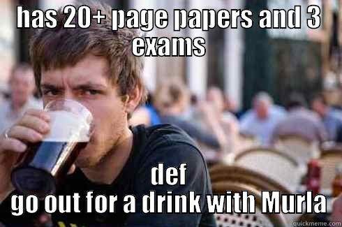 HAS 20+ PAGE PAPERS AND 3 EXAMS DEF GO OUT FOR A DRINK WITH MURLA Lazy College Senior