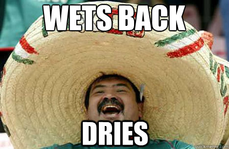 wets back dries  Merry mexican