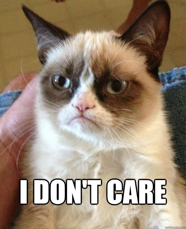  I don't care  Grumpy Cat