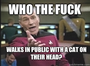 Who the fuck Walks in public with a cat on their head? - Who the fuck Walks in public with a cat on their head?  Annoyed Picard