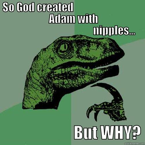 The nipplation of Adam -  SO GOD CREATED                                                           ADAM WITH                                                                 NIPPLES...                          BUT WHY? Philosoraptor