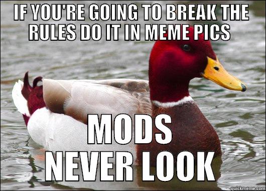 IF YOU'RE GOING TO BREAK THE RULES DO IT IN MEME PICS  MODS NEVER LOOK Malicious Advice Mallard