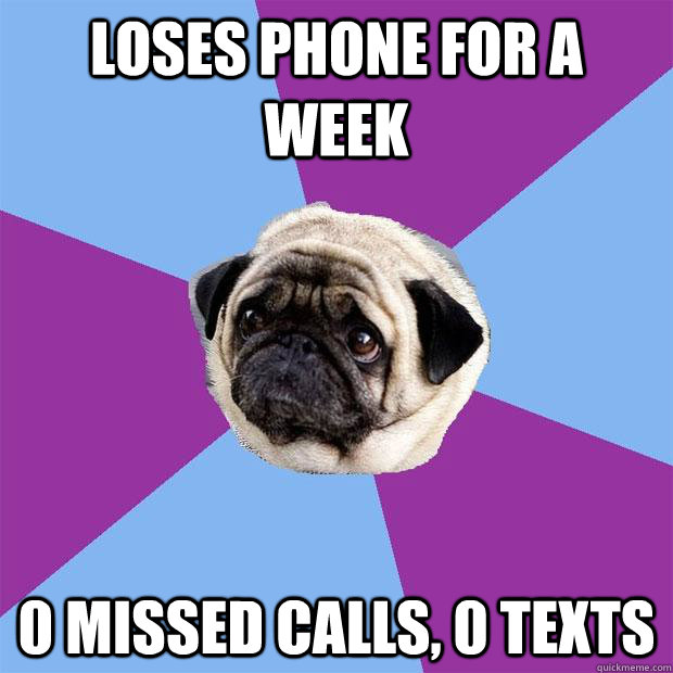 Loses phone for a week 0 missed calls, 0 texts - Loses phone for a week 0 missed calls, 0 texts  Lonely Pug