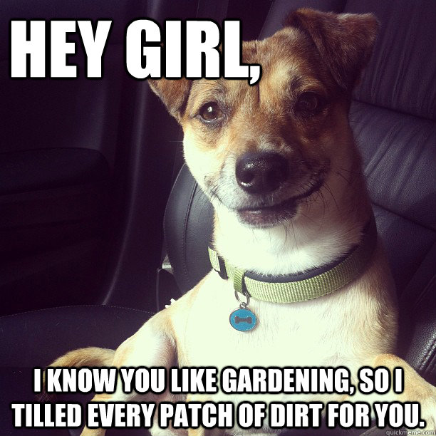 Hey Girl, I know you like gardening, so I tilled every patch of dirt for you.  