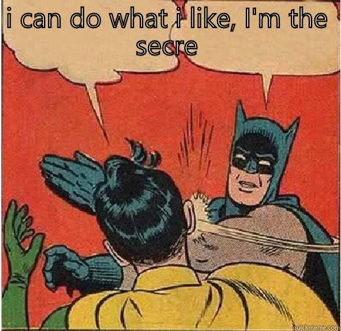 I CAN DO WHAT I LIKE, I'M THE SECRETARY   Batman Slapping Robin