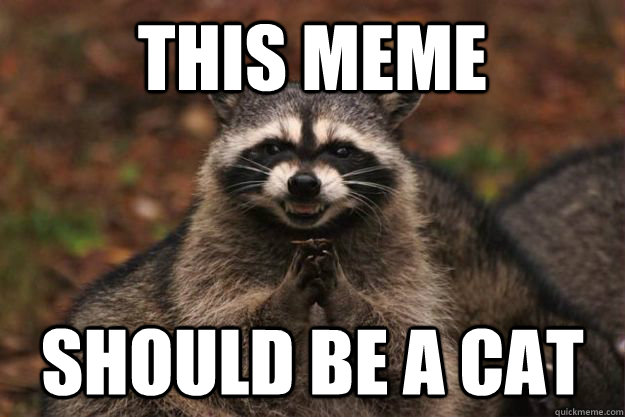 This meme Should be a cat - This meme Should be a cat  Evil Plotting Raccoon