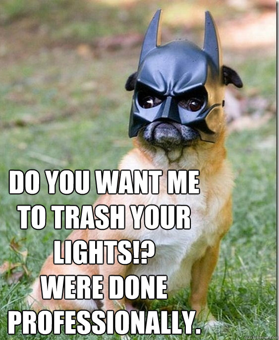 do you want me to trash your lights!? 
were done professionally. - do you want me to trash your lights!? 
were done professionally.  Batman pug