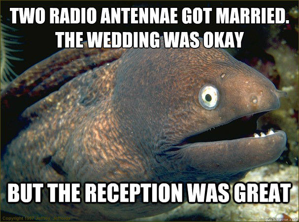 two radio antennae got married.
the wedding was okay but the reception was great  