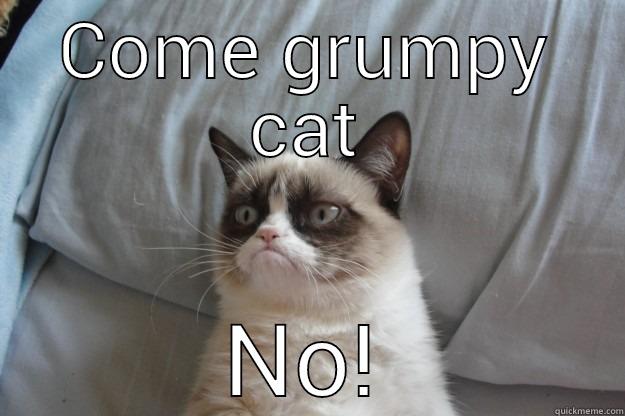 Grumpy cat says No - COME GRUMPY CAT NO! Grumpy Cat