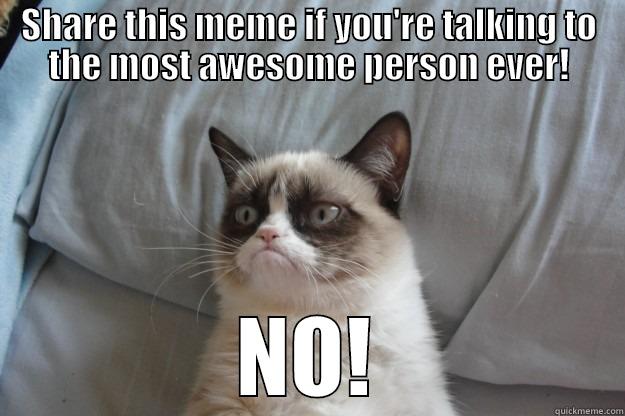 Awesome Person - SHARE THIS MEME IF YOU'RE TALKING TO THE MOST AWESOME PERSON EVER! NO! Grumpy Cat