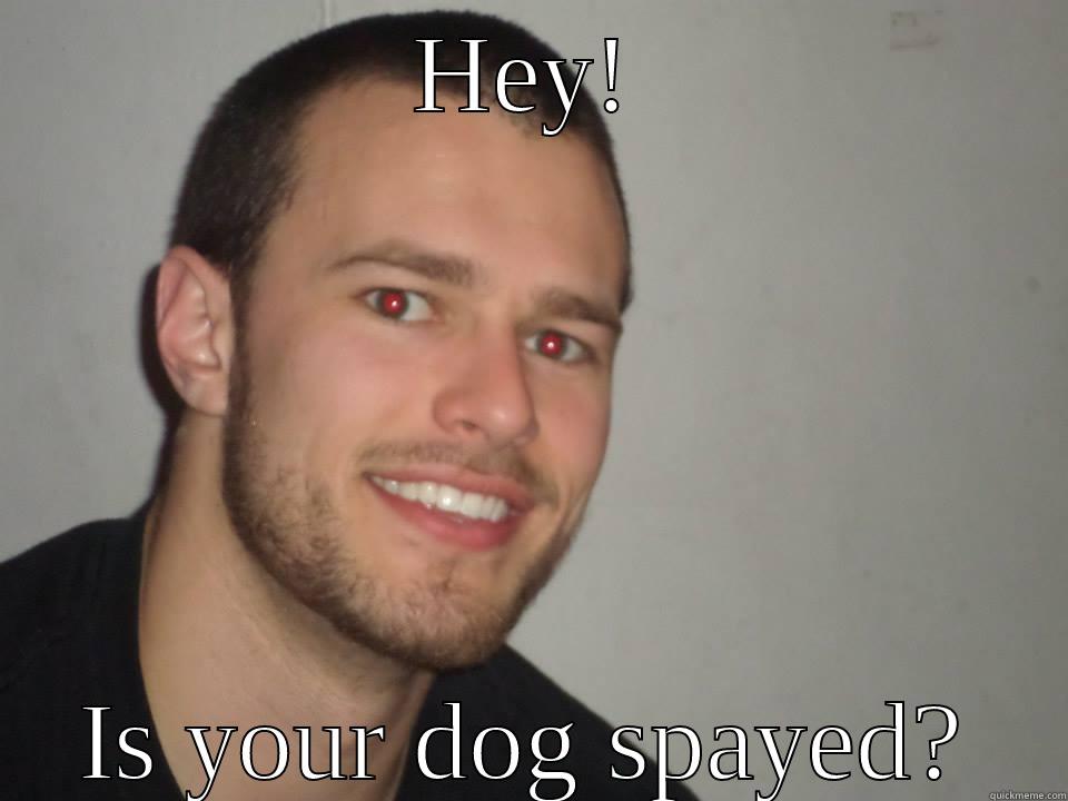 lol hahaha - HEY! IS YOUR DOG SPAYED? Misc