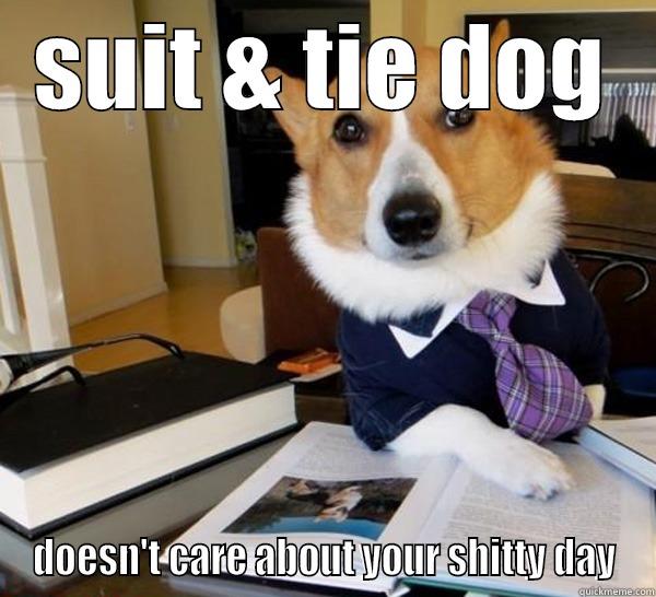 SUIT & TIE DOG DOESN'T CARE ABOUT YOUR SHITTY DAY Lawyer Dog