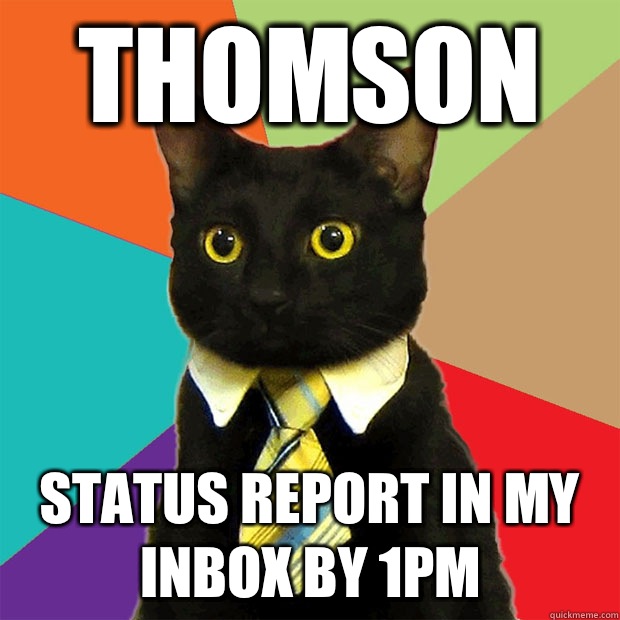 Thomson Status report in my inbox by 1pm  Business Cat