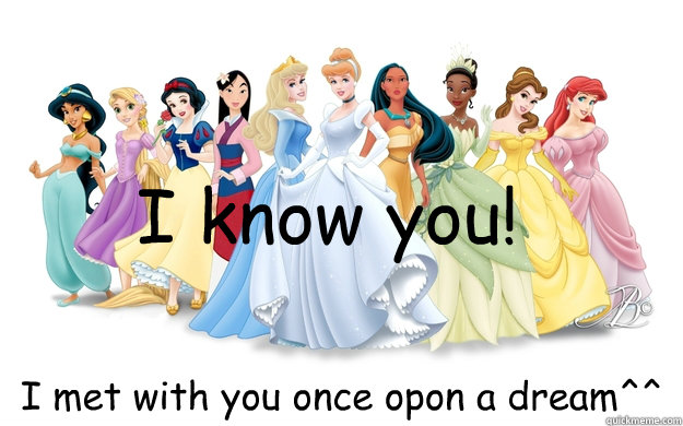 I know you! I met with you once opon a dream^^  disney princesses