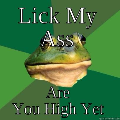 LICK MY ASS ARE YOU HIGH YET Foul Bachelor Frog