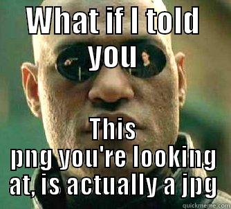 More file extensions - WHAT IF I TOLD YOU THIS PNG YOU'RE LOOKING AT, IS ACTUALLY A JPG Matrix Morpheus