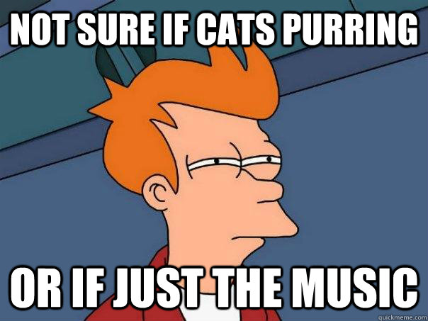 Not sure if cats purring Or if just the music  Futurama Fry