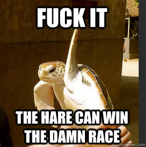 Fuck it The hare can win the damn race - Fuck it The hare can win the damn race  Misc