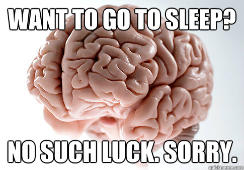 WANT TO GO TO SLEEP? NO SUCH LUCK. SORRY.   Scumbag Brain