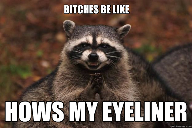 bitches be like hows my eyeliner - bitches be like hows my eyeliner  Evil Plotting Raccoon