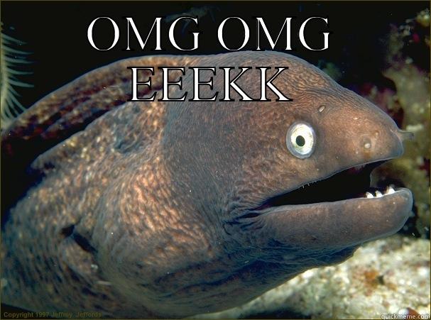 OMG OMG EEEKK  Bad Joke Eel