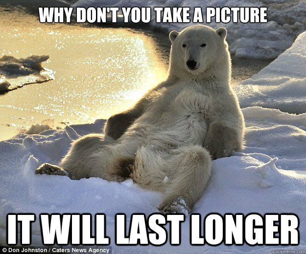 Why don't you take a picture It will last longer - Why don't you take a picture It will last longer  Carefree bear